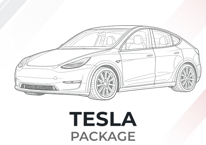 Software para el escáner de diagnóstico LOKI PRO para vehículos Tesla