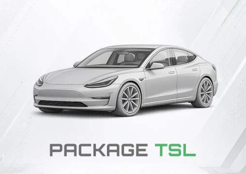 Модуль ПО для сканера LOKI PRO, совместимый с электромобилями Tesla 